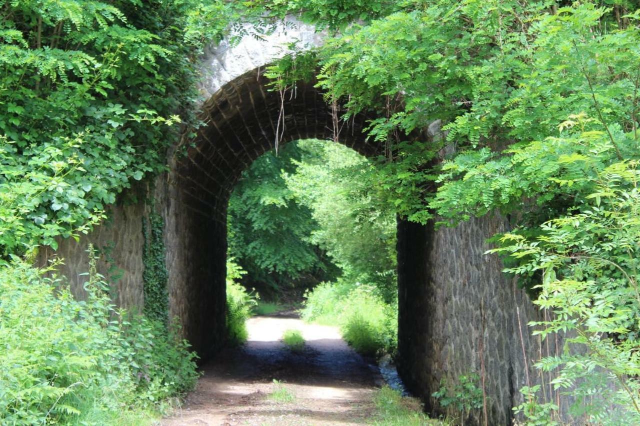 Arc De L'Amour Villa Youx Buitenkant foto